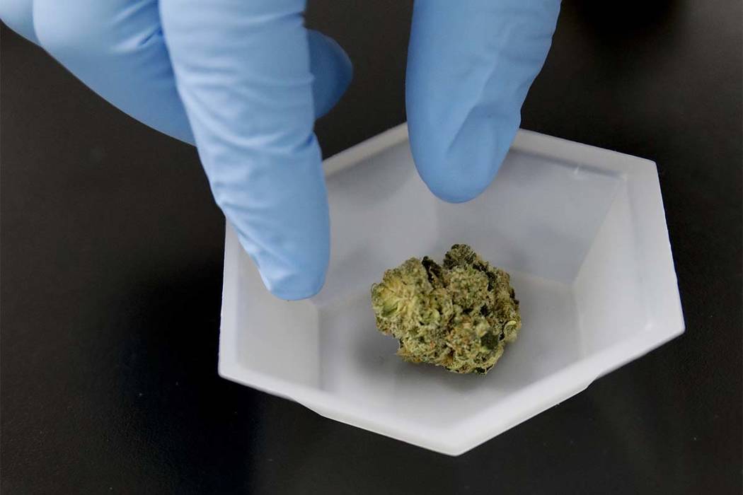 Image result for california potency testing