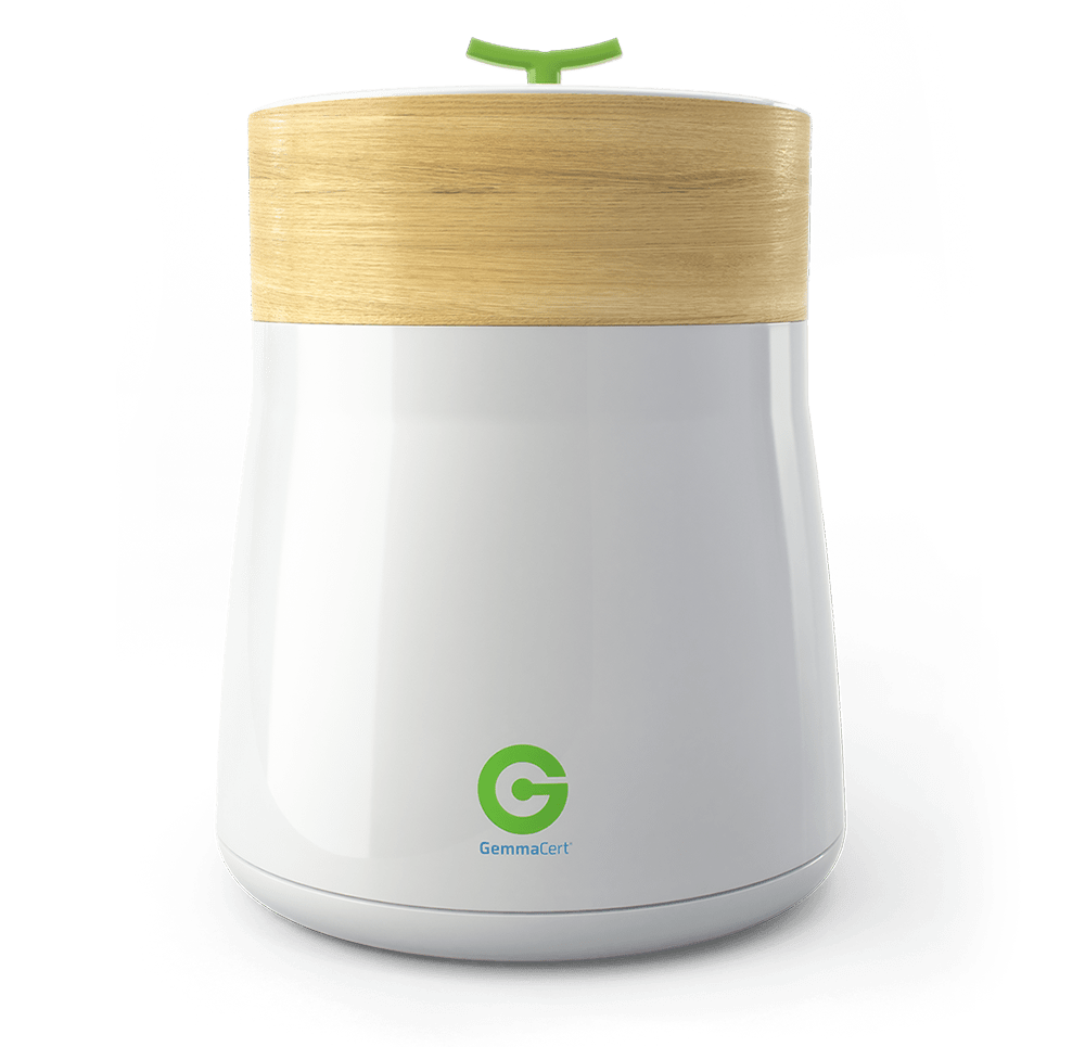 gemmacert-pro-crop-1000x965